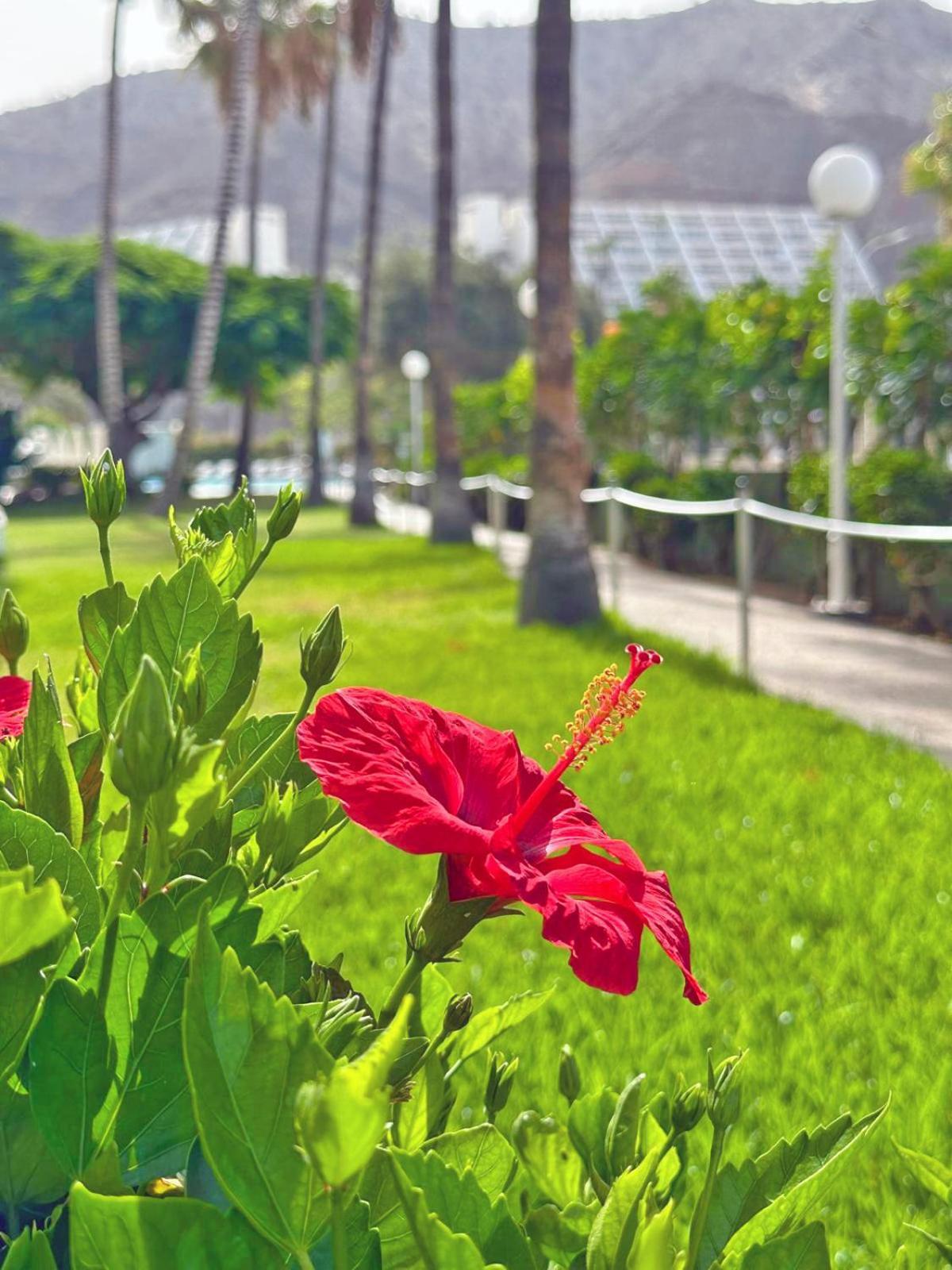 Apartamentos Portonovo Πουέρτο Ρίκο Εξωτερικό φωτογραφία